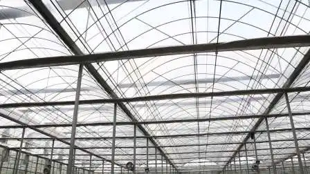 실내 수경법 온실 식물 성장을 위한 텐트 성장
